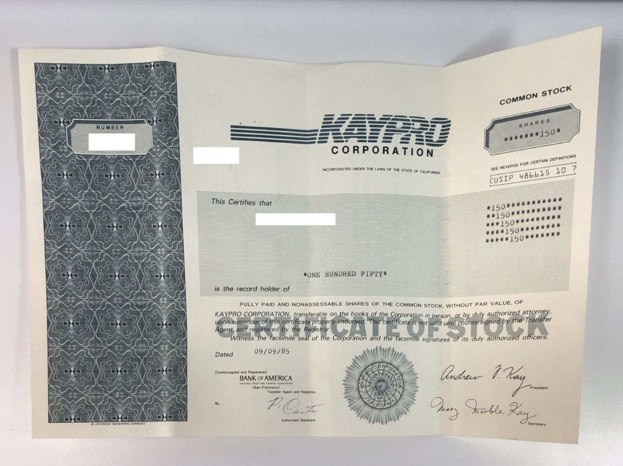 Kaypro Corporation - Common stock